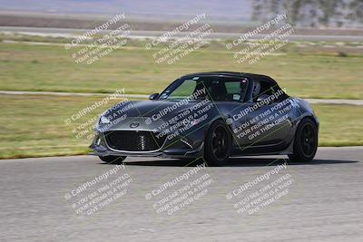 media/Mar-29-2025-Speed Ventures (Sat) [[9900210f0d]]/Purple/Grid and Front Straight/